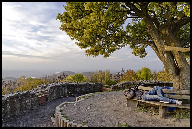 Löwenburg im Siebengebirge im Herbst
